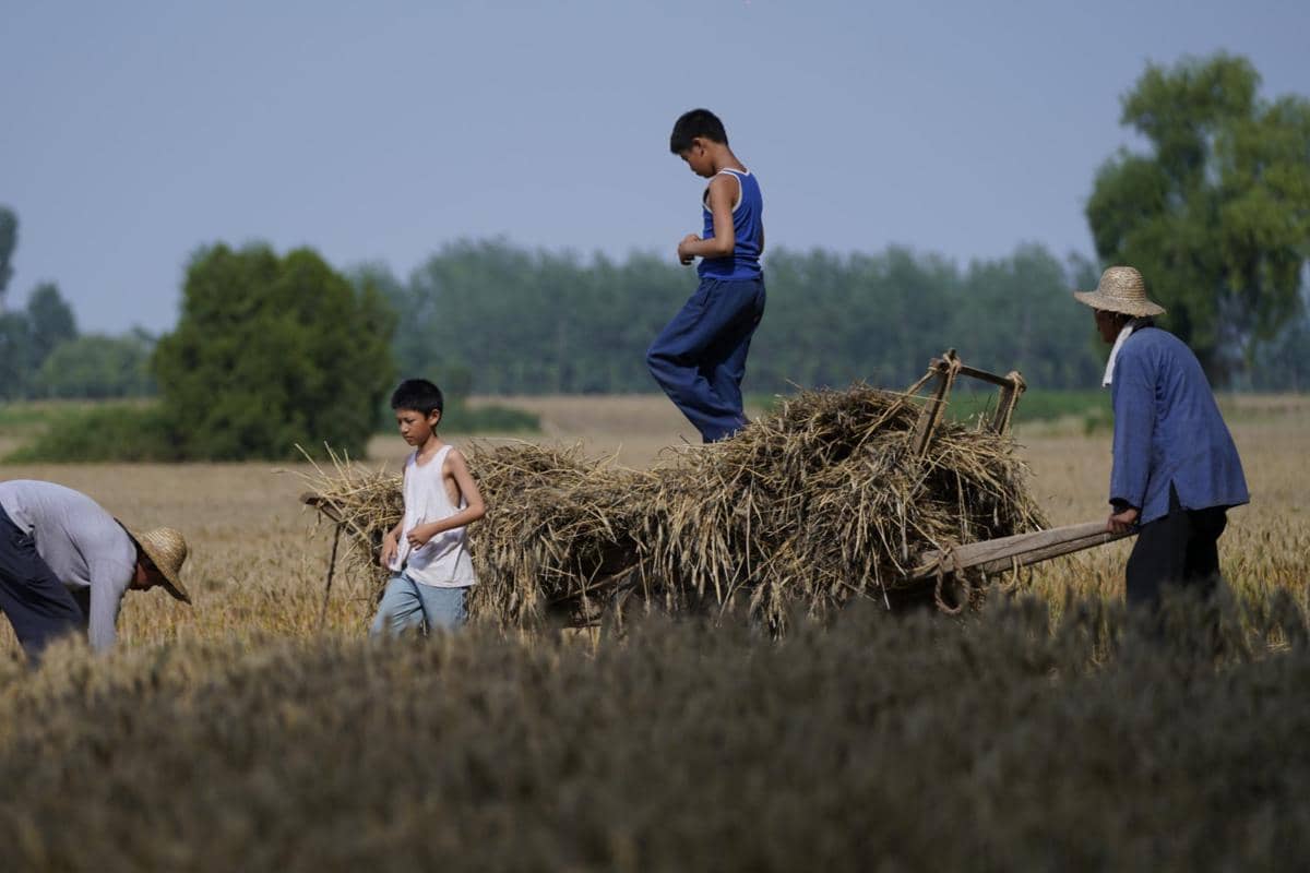 6 Film yang Buktikan Jadi Petani Gak Seindah Ekspektasi