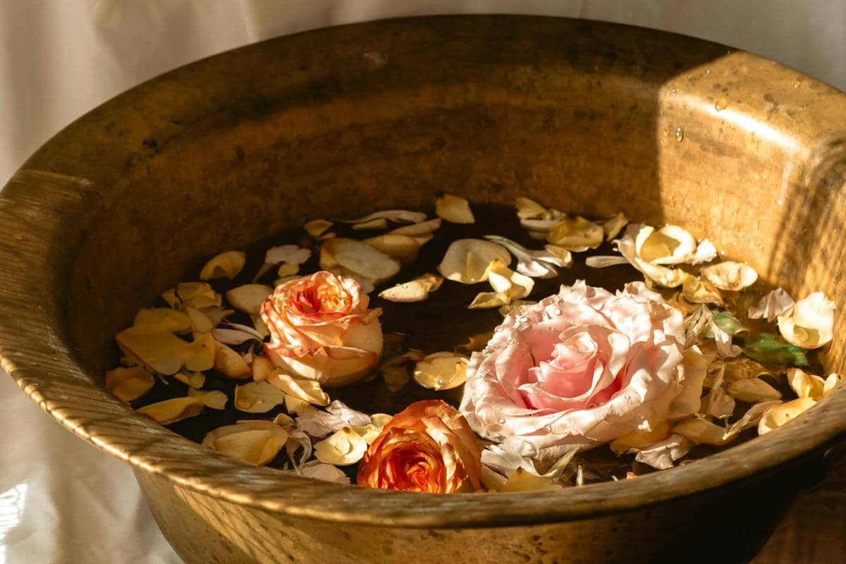 ilustrasi air mawar (pexels.com/polina)