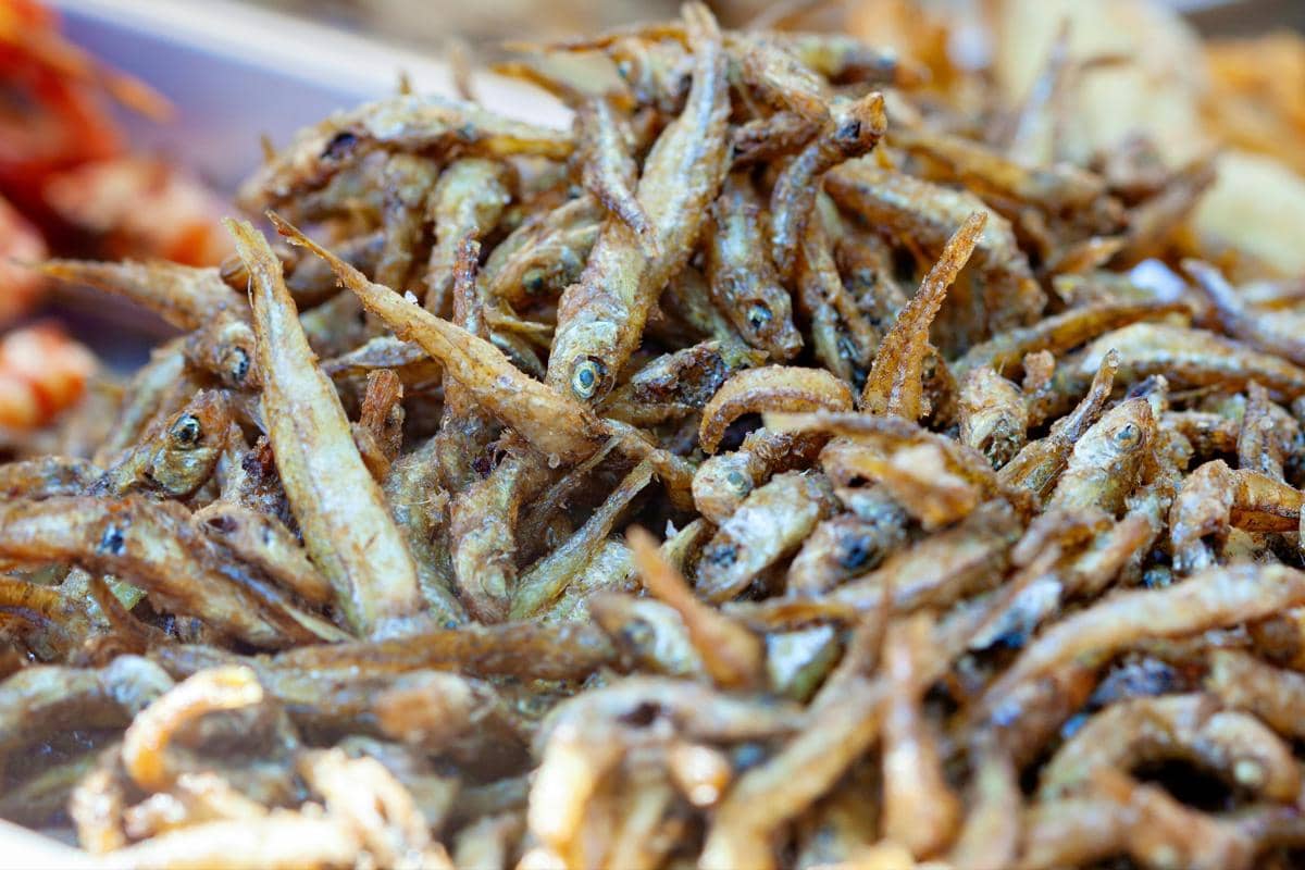 ilustrasi ikan teri goreng (pexels.com/Julia Filirovska)