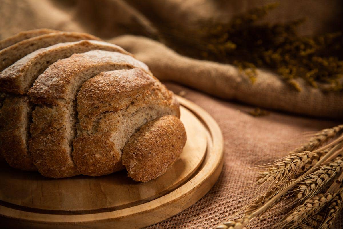 ilustrasi roti gandum