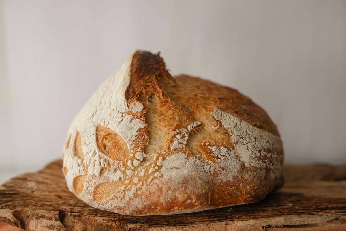 ilustrasi sourdough