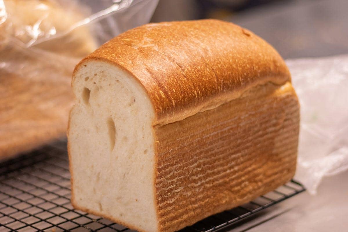 ilustrasi roti shokupan