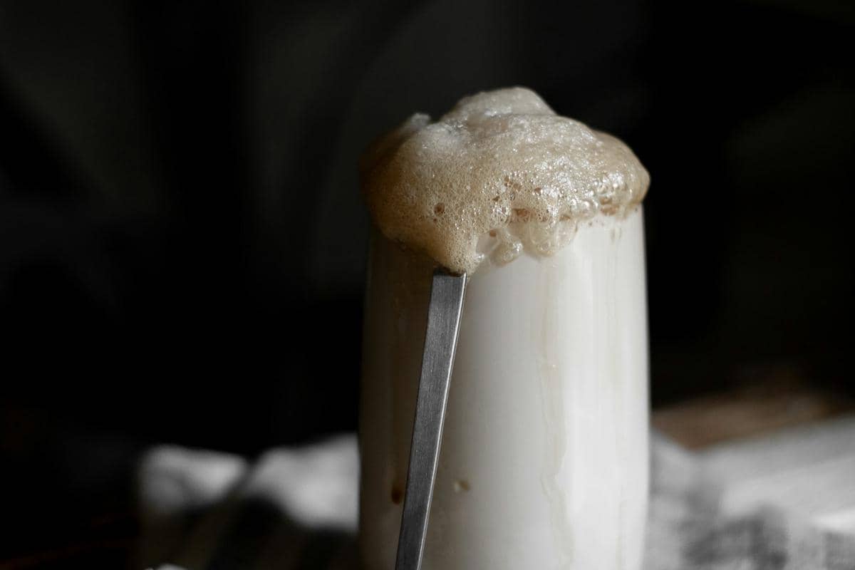 ilustrasi stater sourdough