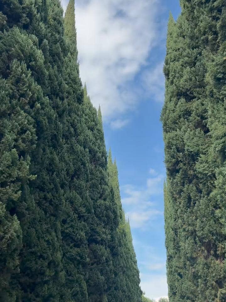 Livy Renata saat di Greystone Mansion and Garden