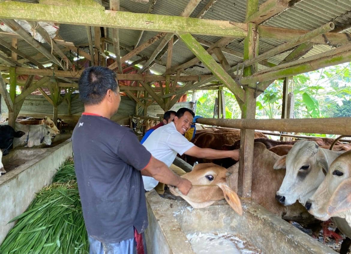 Cegah PMK, Hewan Kurban di Sukabumi Mulai Divaksinasi