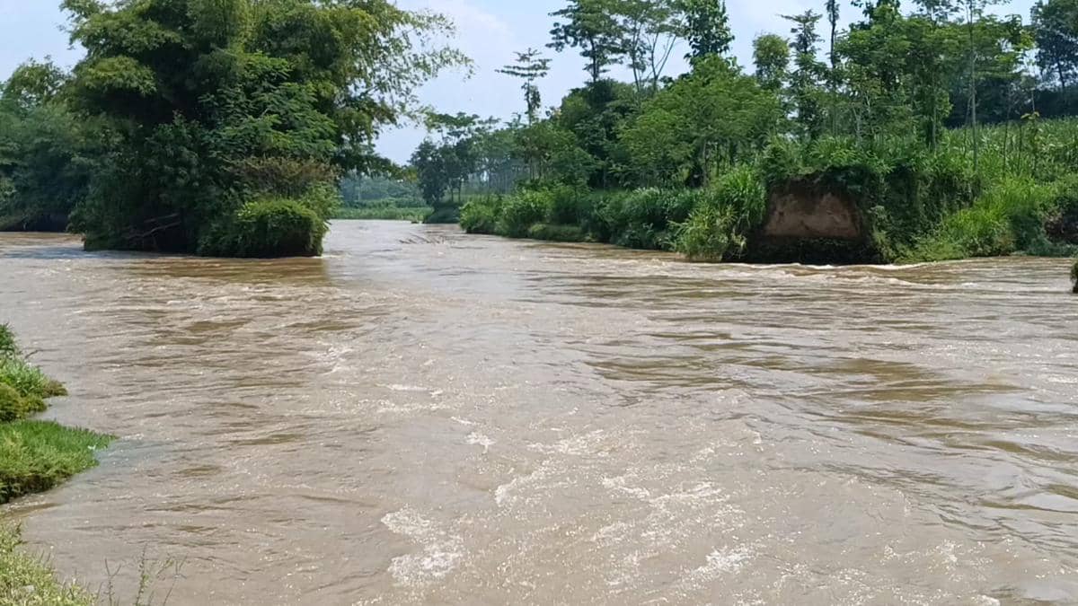 WhatsApp Image 2026-04-10 at 13.11.15 (1).jpeg