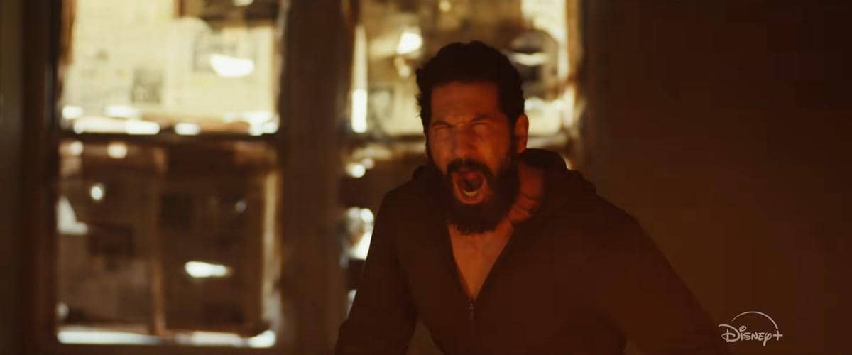 Frank Castle di The Punisher: One Last Kill