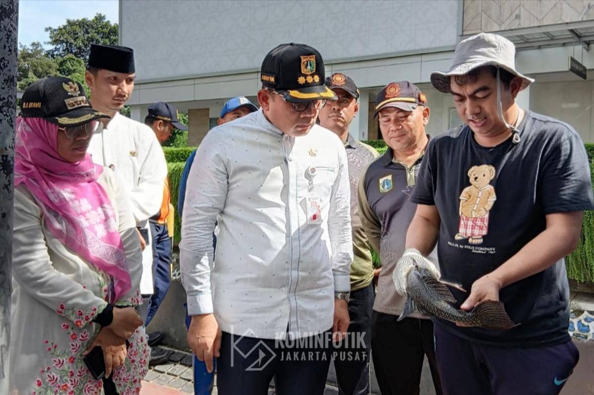 Petugas Gabungan Gelar Kerja Bakti Tangkap Ikan Sapu-sapu di depan Kali Mal Plaza Indonesia.