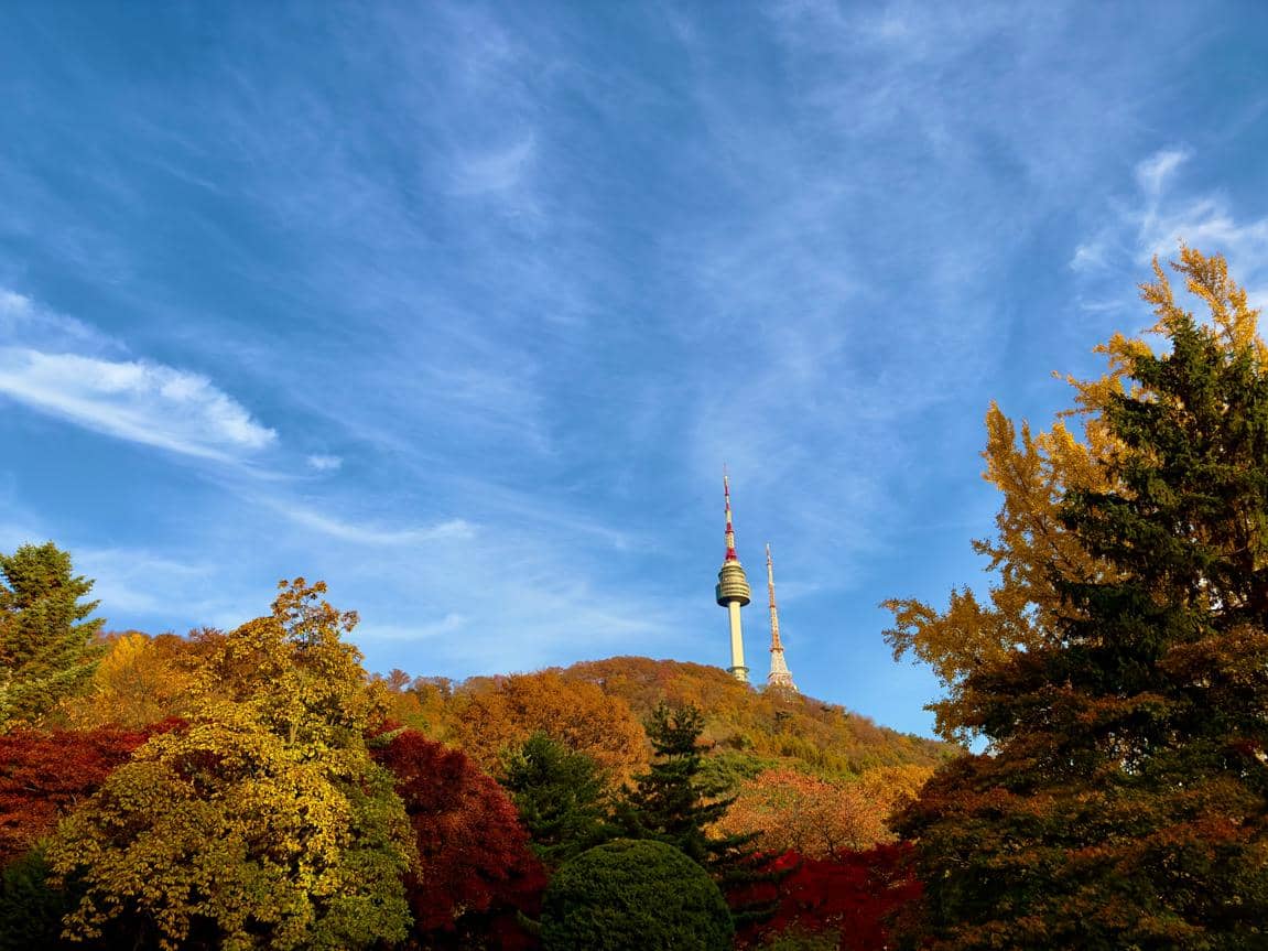ilustrasi Namsan Park