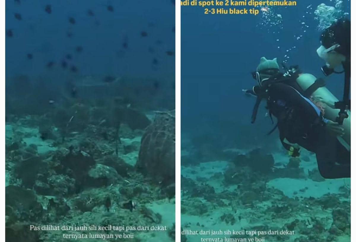 Sintya Marisca liburan di Banda Neira