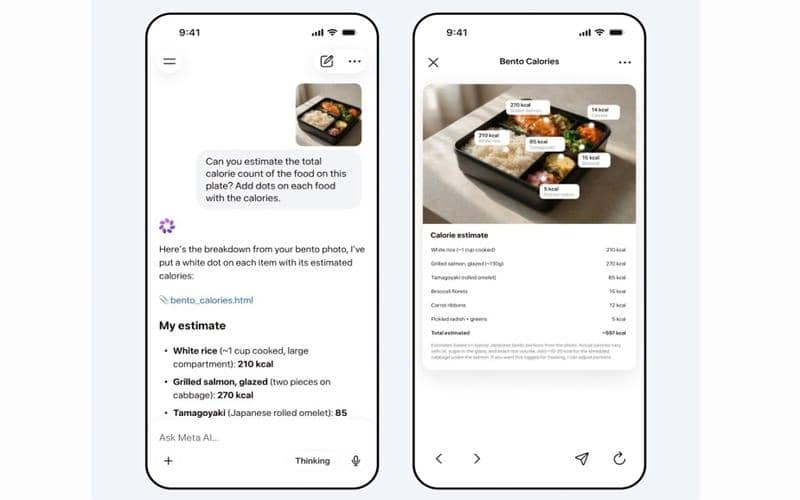 Muse Spark dapat memproses gambar dan audio secara langsung