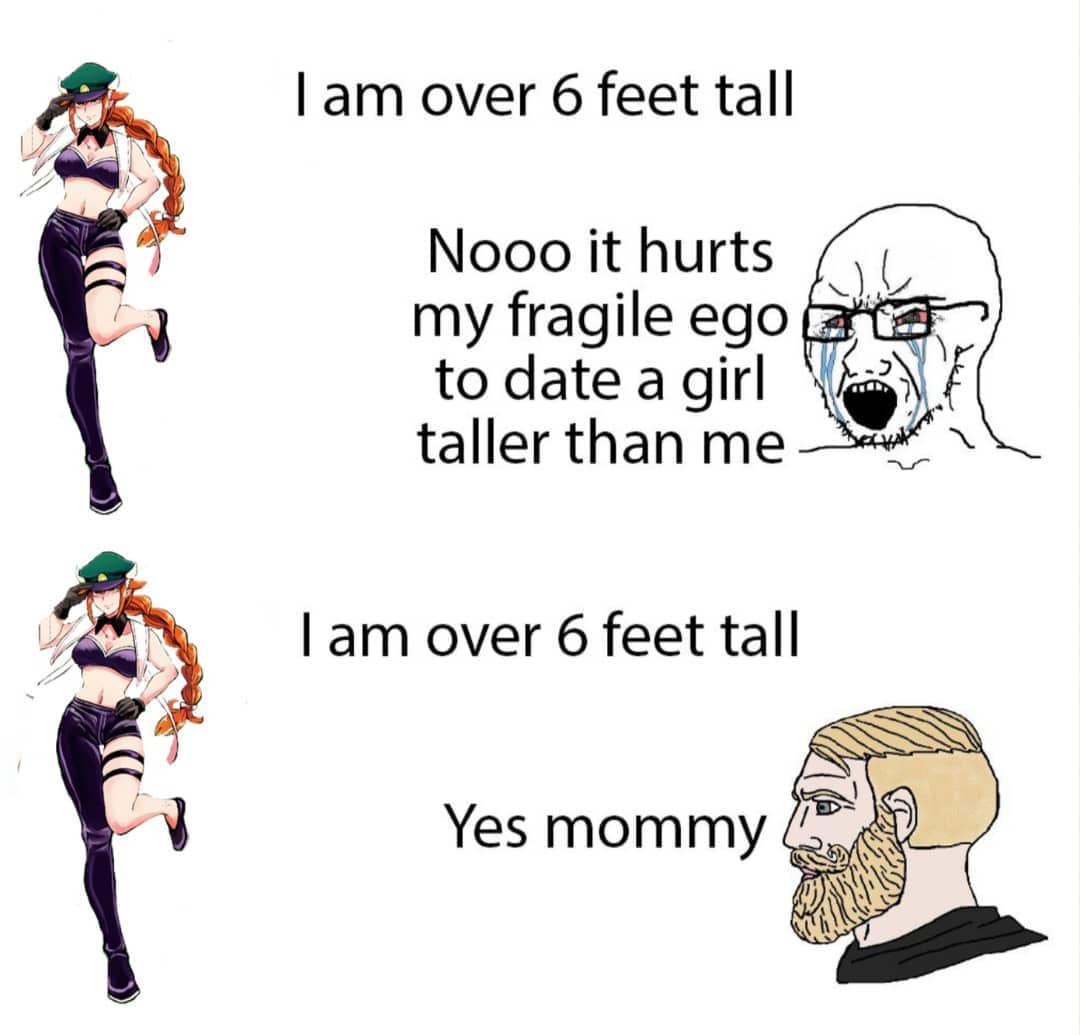 meme anime tentang cewek tinggi