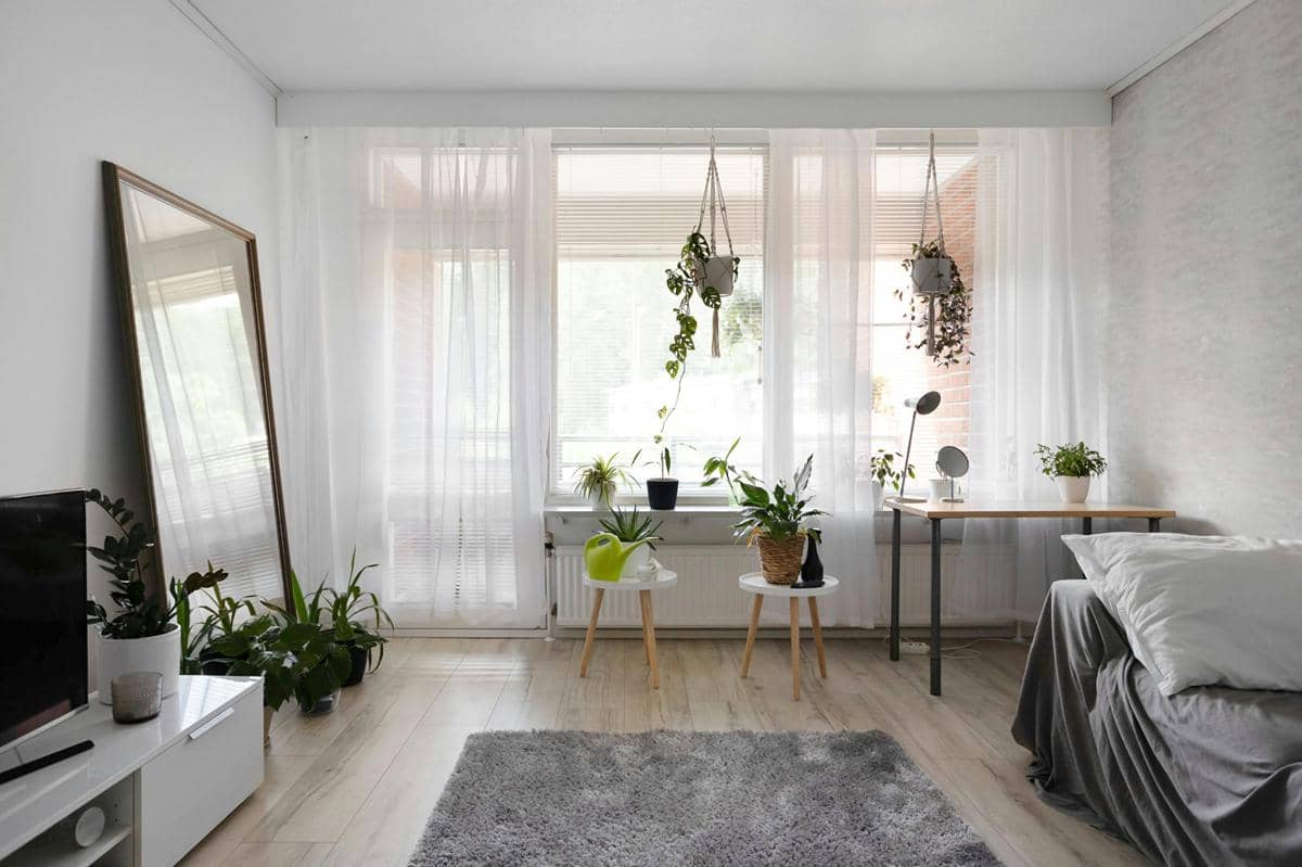 Tanaman kecil dalam pot unik di dalam kamar kos