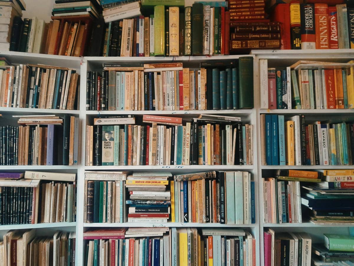 Rak dinding DIY dari kardus bekas di tempatkan untuk menyusun buku