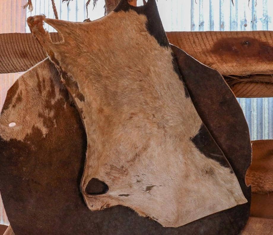 ilustrasi kulit sapi (commons.wikimedia.org/Ssemmanda will)