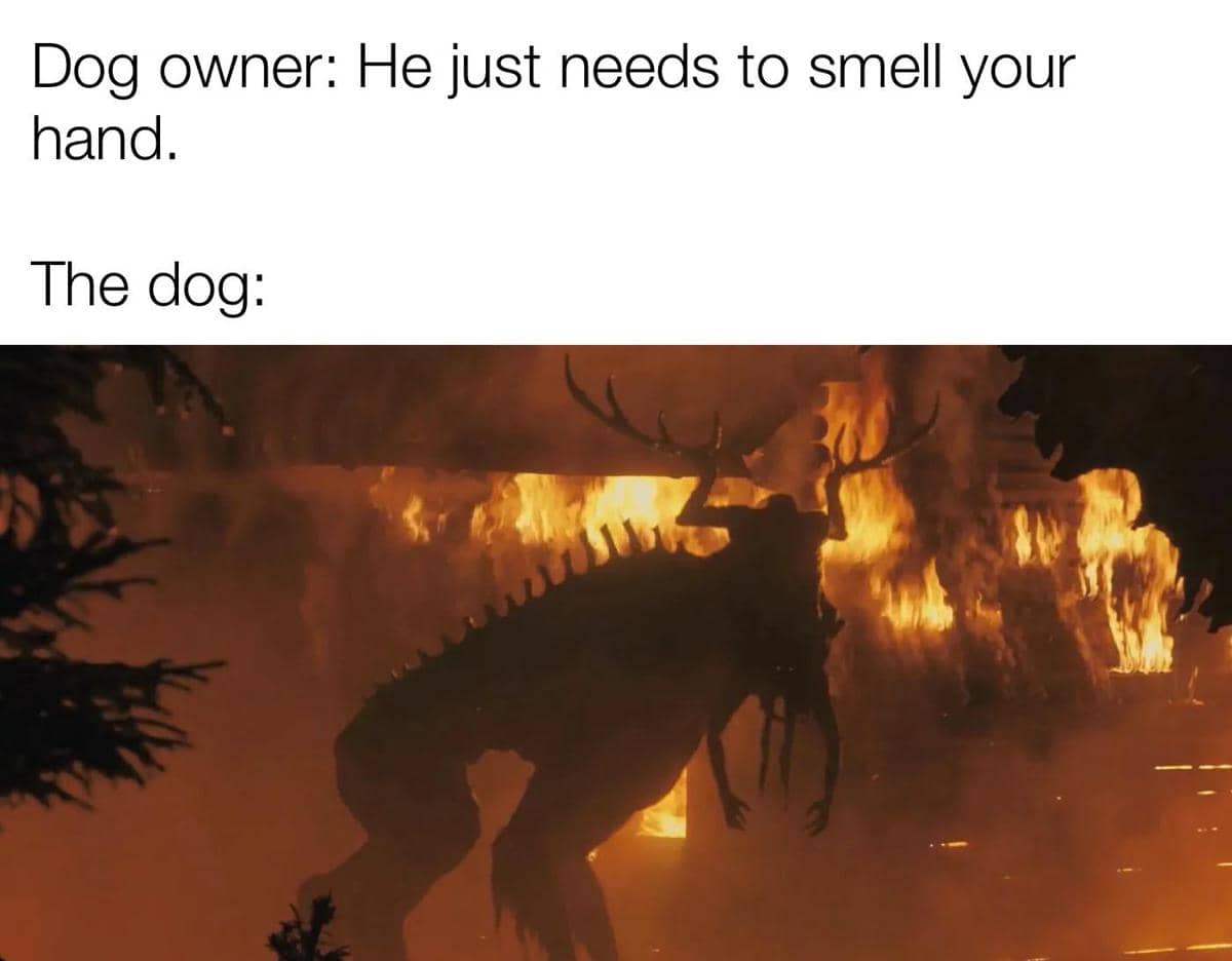 meme kartun tentang anjing peliharaan