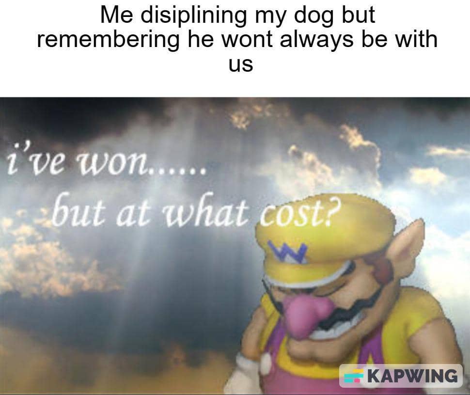 meme kartun tentang anjing peliharaan