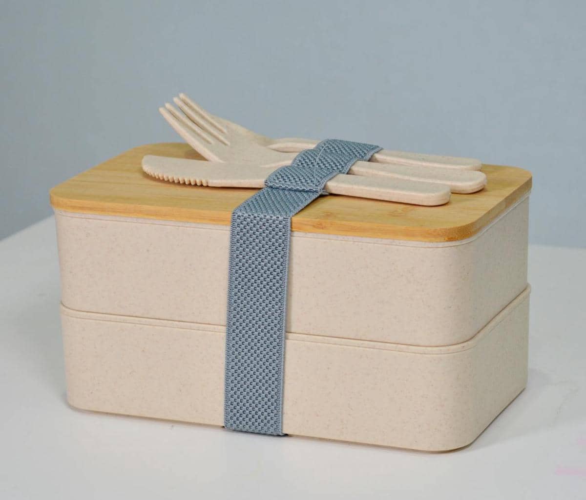 ilustrasi lunch box