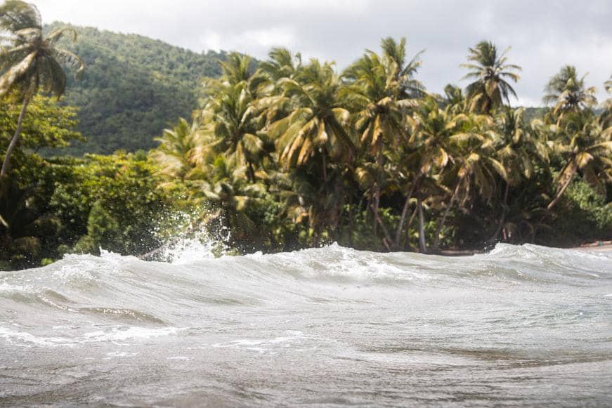 Indonesia Dikepung El Nino, Pakar Unair Ingatkan Pentingnya Mitigasi