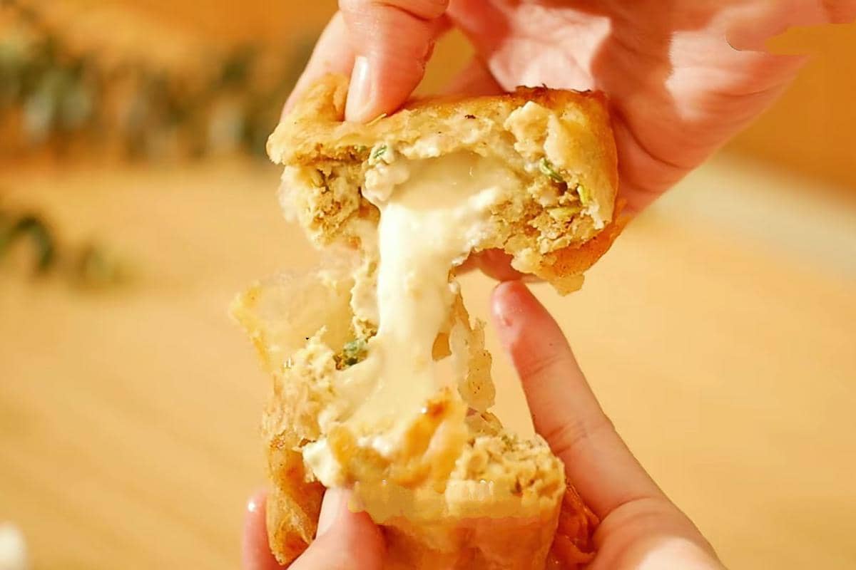 ilustrasi martabak ayam keju