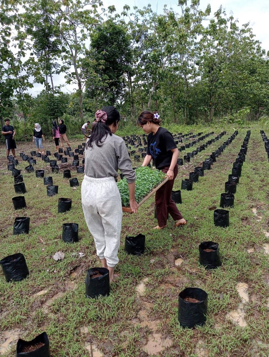 WhatsApp Image 2026-04-12 at 08.39.00-2.jpeg