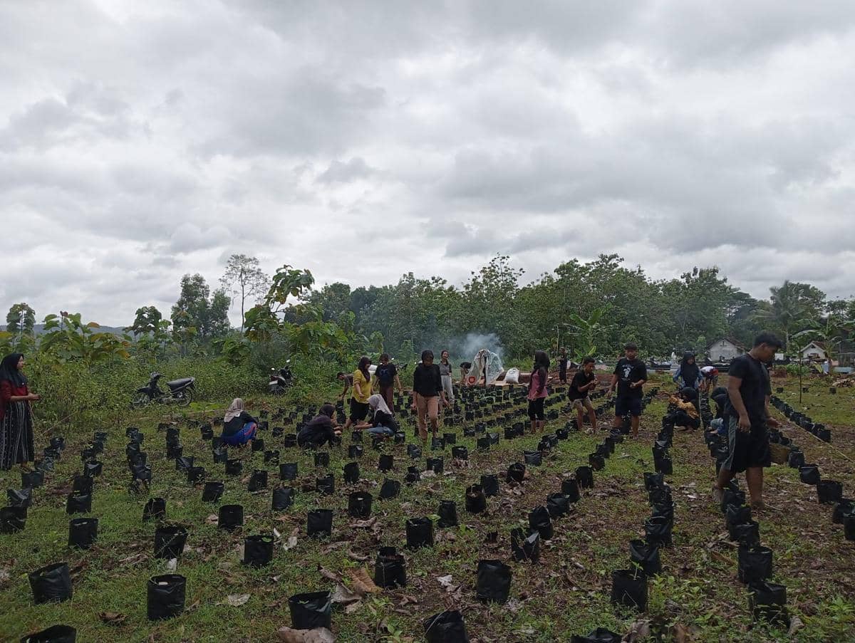 WhatsApp Image 2026-04-12 at 08.39.01.jpeg