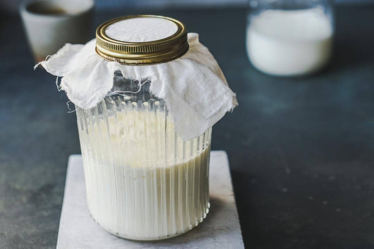 ilustrasi starter sourdough