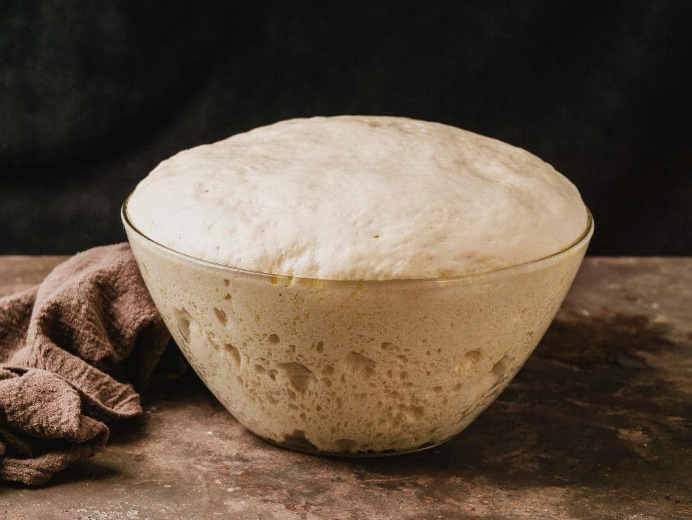 ilustrasi sourdough starter