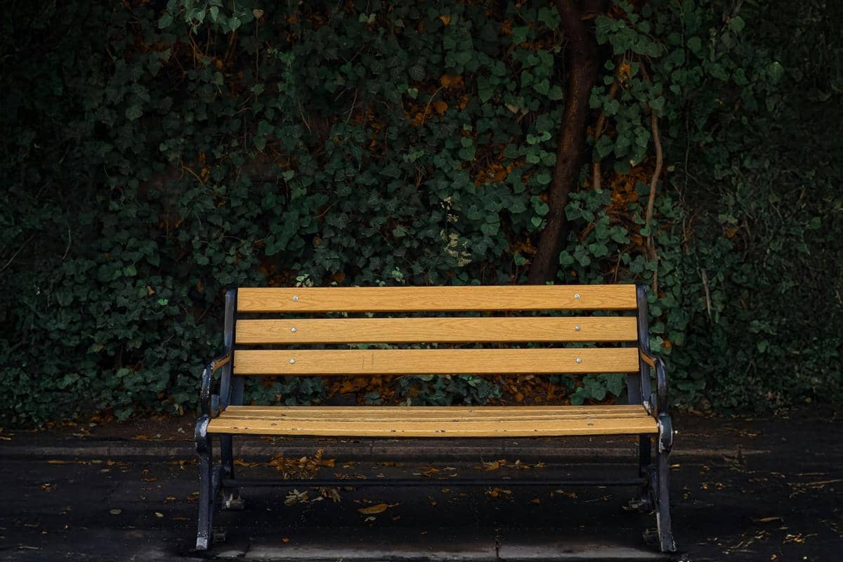 [PUISI] Harap yang Berkabung