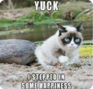 meme kucing tentang menginjak sesuatu