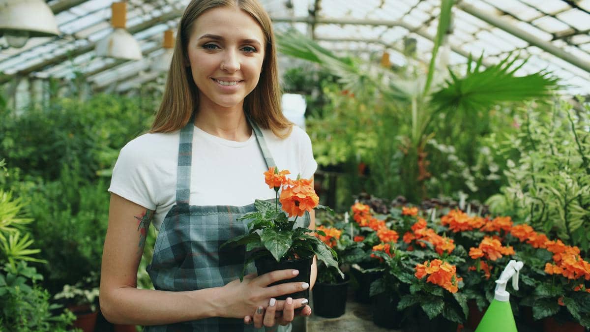 Apakah Bisnis Tanaman Bisa Dijalankan sambil Kerja Full-Time?