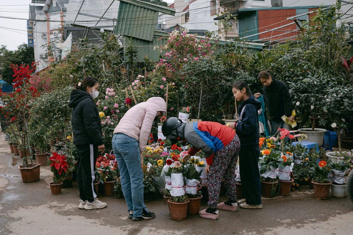 ilustrasi penjual tanaman