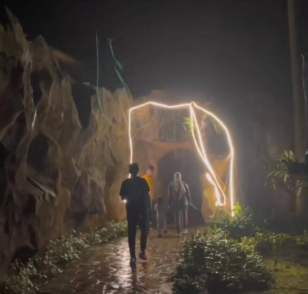 Jadwal Tunnel Night Experience di Ragunan, Suasananya Syahdu!