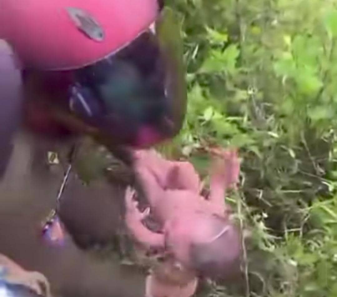 Warga Temukan Bayi Baru Lahir di Semak Belukar Empat Lawang