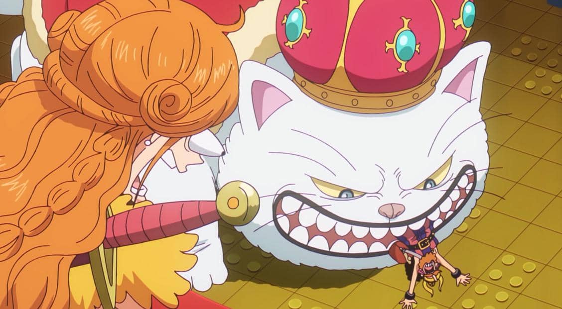 Nami melihat Usopp hampir dimakan kucing besar - One Piece