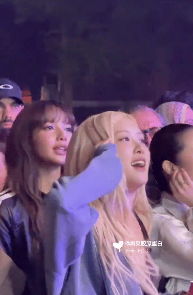 artis yang ikut nonton penampilan BIGBANG di Coachella