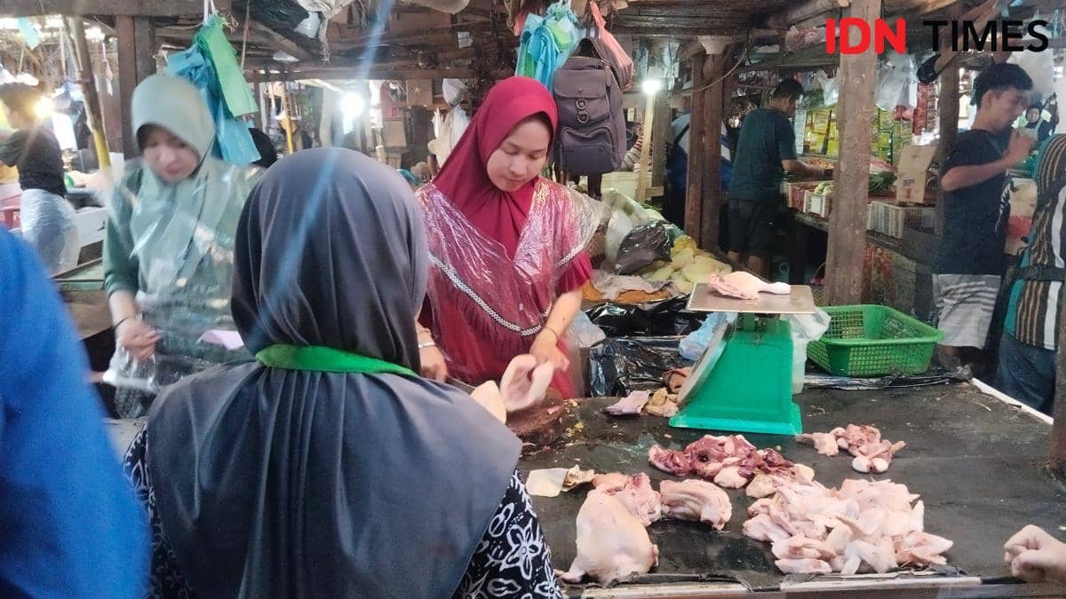 Harga Ayam Ras di Palembang Anjlok, Permintaan MBG Turun