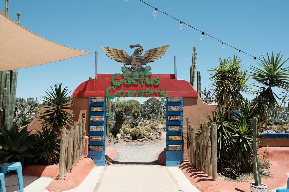 Potret The Living Desert Zoo and Gardens