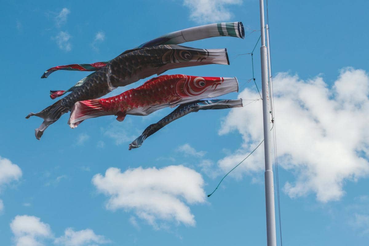 Beberapa bendera berbentuk ikan koi berwarna merah, hitam, dan biru berkibar di tiang tinggi dengan latar langit biru berawan.
