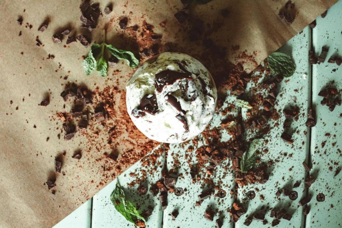 ilustrasi mint chocolate chip ice cream