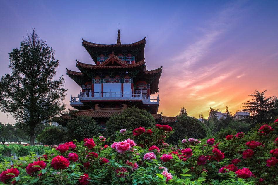 Festival Peony di Luoyang