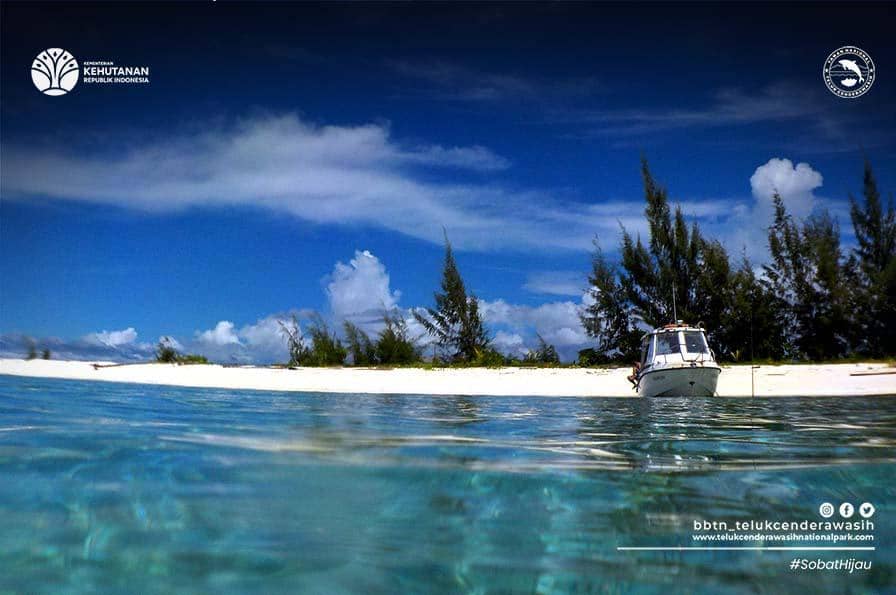 Jadi Tempat Terbaik di Dunia Versi TIME, Ini Keistimewaan Teluk Cendrawasih!