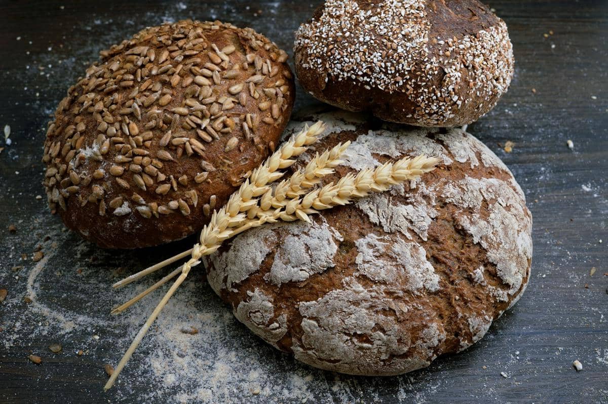 ilustrasi sourdough yang dibuat dari gandum hitam