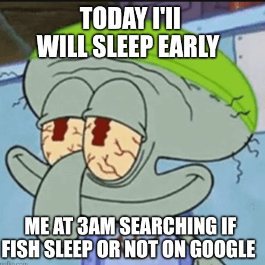 meme kartun tentang tidur cepat