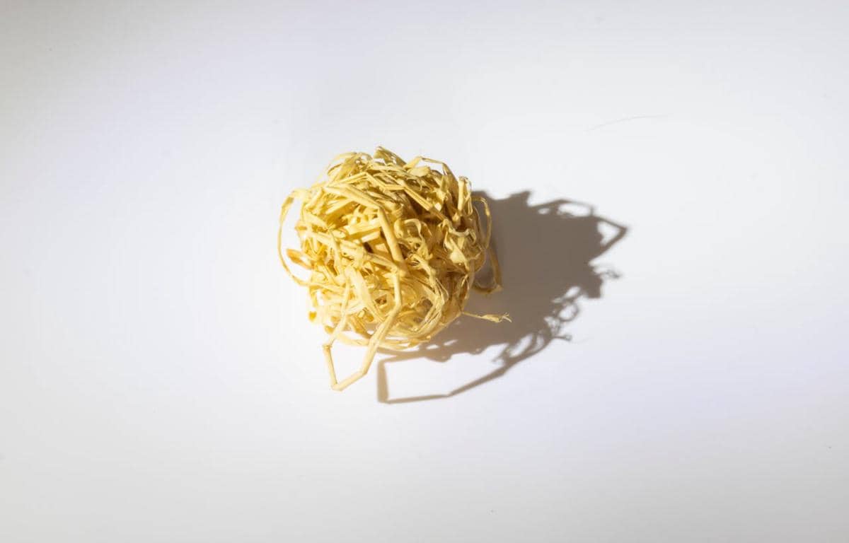 ilustrasi cumi kering iris