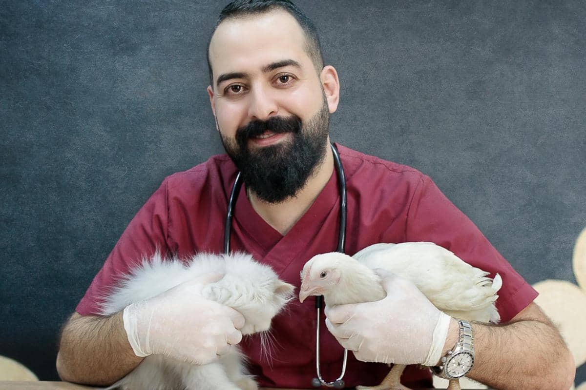 dokter hewan