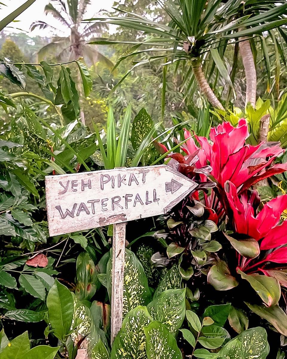 petunjuk ke Air Terjun Yeh Pikat (instagram.com/desawisatataro)