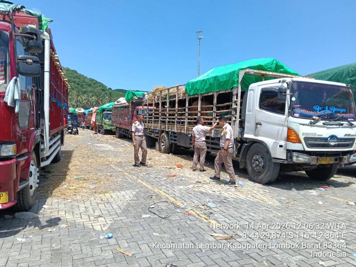 NTB Terbitkan Rekomendasi Pengiriman 22.357 Sapi Kurban ke Jabodetabek