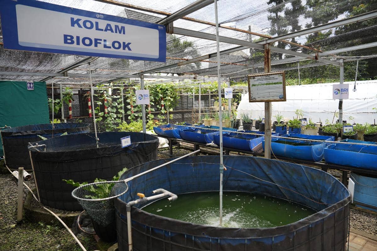 WhatsApp Image 2026-04-15 at 12.40.40 PM.jpeg