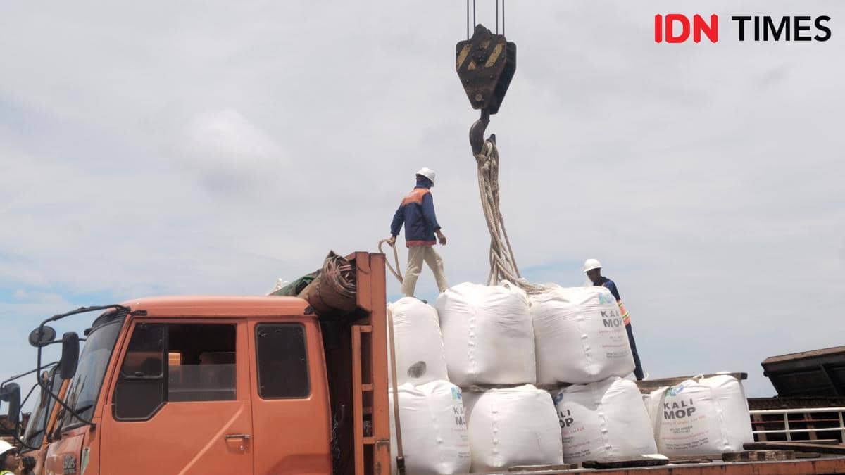 Aktivitas bongkar muat PTP Nonpetikemas Palembang